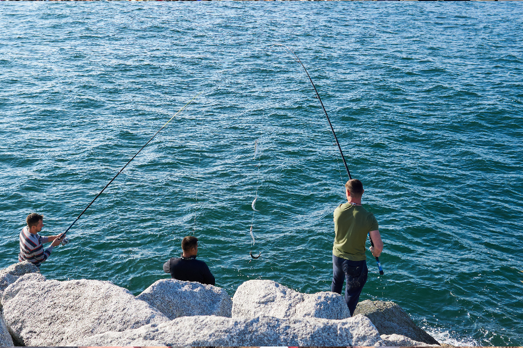 Fishing in and Around Brixham